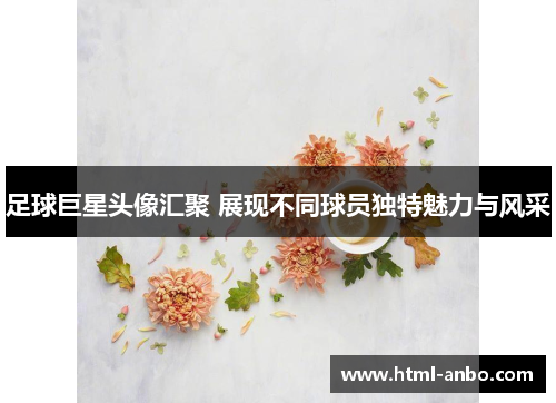 足球巨星头像汇聚 展现不同球员独特魅力与风采