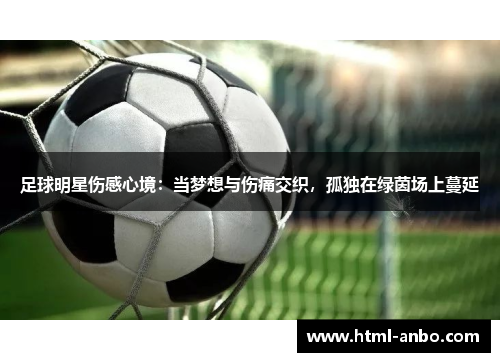 足球明星伤感心境：当梦想与伤痛交织，孤独在绿茵场上蔓延